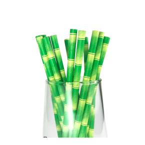 Bamboo Color Paper Straw  