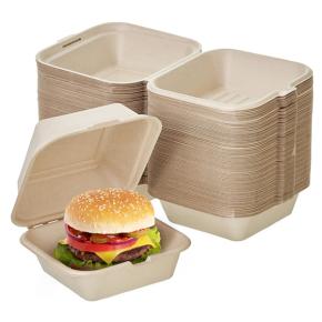 Disposable Bagasse Eco-Friendly Natural Takeout to go Box, Made from Sugarcane Plant